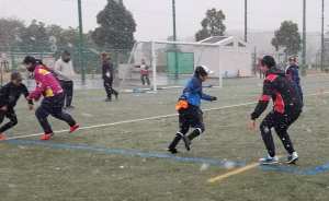 82337295_1502112046606716_3771833287140442112_n