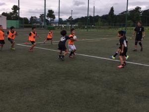 21686503_830116373811231_5420573957901184427_n