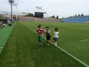 13445304_829502057180855_1976240724096006583_n