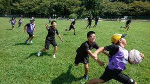 21617536_884866418331285_8226208866140309214_n