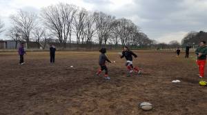 29101725_961744513990891_2232452586579346578_n