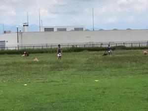 224484824_1806109939573201_6052394274252276736_n