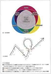 12108815_719018178229244_324724365331443241_n