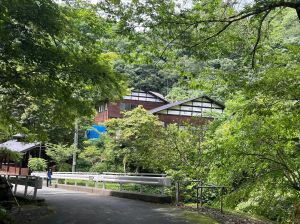 451106477_7860915734029288_5282809244072380786_n