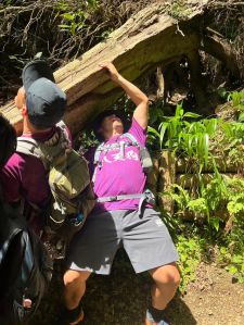 442474629_3218680248263012_3392575834322525844_n