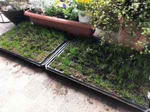 279378913_1967473633437446_2086589152025266583_n