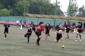 65920794_1325528620931727_8550977413264179200_n