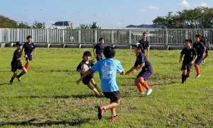 43431482_1145222748962316_2801938077231087616_n