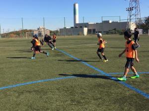 24068267_856949661141686_5841663742911862581_n