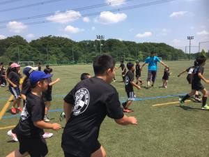 34317823_966589813497219_7396961675544363008_n