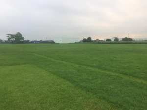 69552225_3538920382800521_2292561406966366208_n