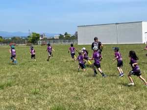 443835742_2550817041769150_3074418896057876360_n