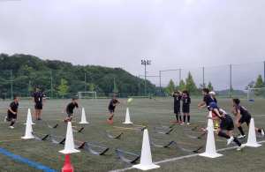 66279523_1325528230931766_790430856144486400_n