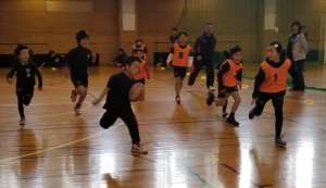 86696353_1527721424045778_3742001238871375872_n