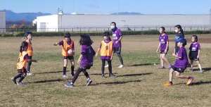 125932070_1778286128989305_6526054466625892709_n