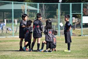 23415355_912729775541732_4307277823065951248_o