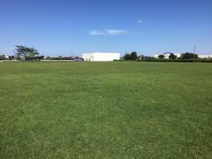 71273384_3645598582132700_4038201519546302464_n