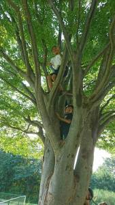 21462522_884902068327720_8651748322005579417_n