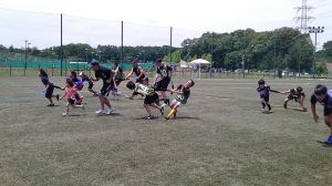 13442313_633994260081953_8875108657488767510_n