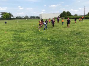 202146513_1651353105060243_1855922836731177067_n