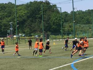 18581663_764439023712300_4225059984108984788_n