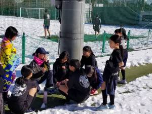 27332289_951771994974060_7158997674014298492_n