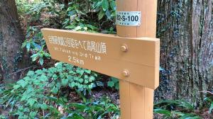 435946406_986047262891563_2636727704266332137_n