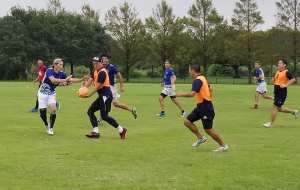 41990553_1130542587096999_4127343389681123328_n