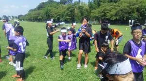 21558643_884885971662663_3603226359157098905_n