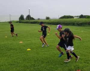 69695355_1368054376679151_6792989389967327232_n