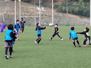 27654899_898803126956339_6373350380467396826_n