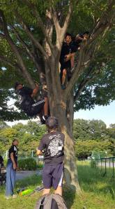 21432970_860899630742047_5650329022364313560_n