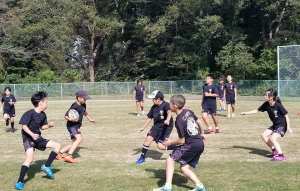 74881521_1423504541134134_7054935051598823424_n