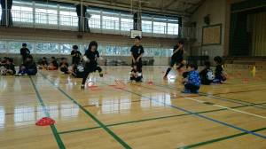 17796107_773657596132918_6555379058726634551_n