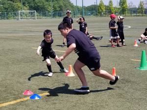 31408193_1004506329700626_2739170583353753600_n