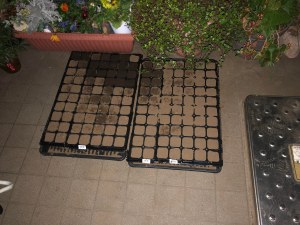 279664799_316841457280190_7550543952965521641_n