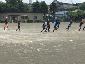 35102584_970285606460973_832292854406578176_n