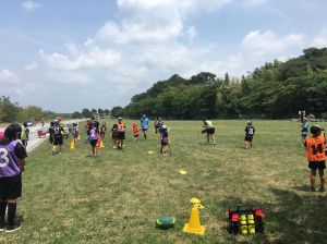 37742210_1611431222302472_1834871098991181824_n