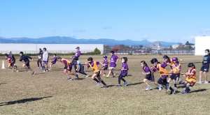 126326521_1778285295656055_2105389575076809735_n