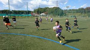 23376385_913290342155559_7352583548409260981_n