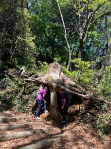 445575459_3395736437236382_5958432362193318716_n