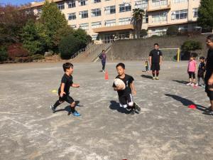 23130602_849890308500504_5622628401684780319_n