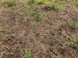 176707797_1731152690402260_6163390455488199824_n