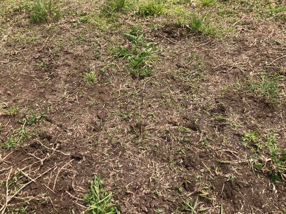 176707797_1731152690402260_6163390455488199824_n