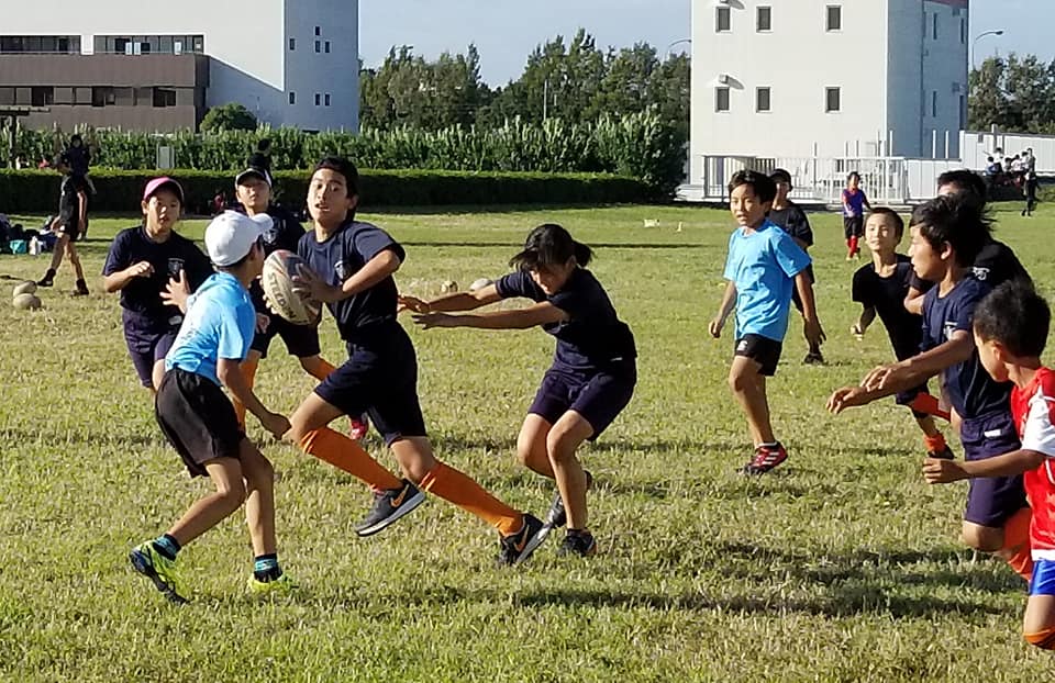 43403091_1145223348962256_5631531509010661376_n