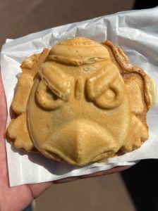 445234290_3218680278263009_8908692244305270005_n