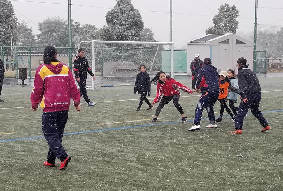 82337257_1502113543273233_1669074993314529280_n