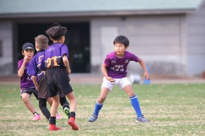 412245274_6787390111379542_343744045317186934_n