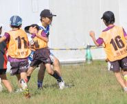 ワンポイントレッスン