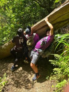 442469349_3218680334929670_1828566418909889768_n